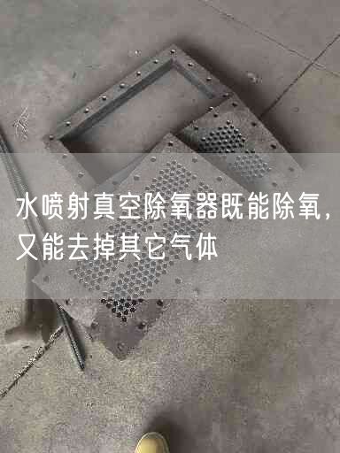 水噴射真空除氧器既能除氧，又能去掉其它氣體