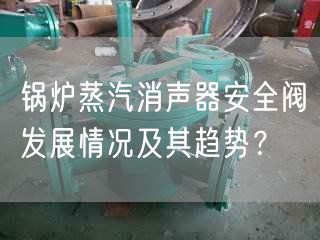 鍋爐蒸汽消聲器安全閥發(fā)展情況及其趨勢？