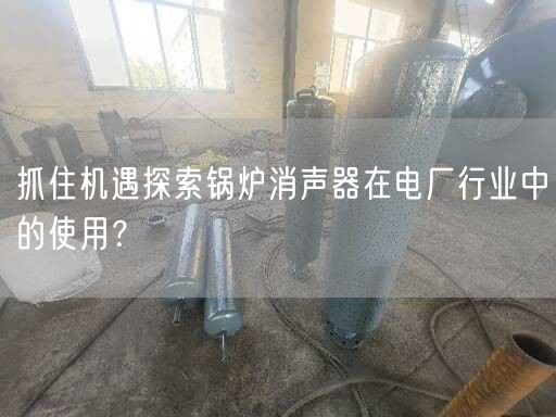 抓住機(jī)遇探索鍋爐消聲器在電廠行業(yè)中的遙遙？