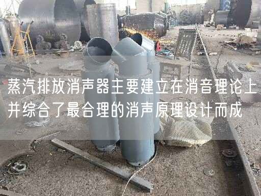 蒸汽排放消聲器主要建立在消音理論上并綜合了較合理的消聲原理設(shè)計而成